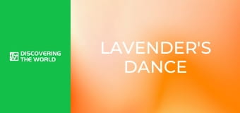 Lavender's Dance