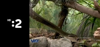 VAT E11 - Inovatívne šetrenie energie