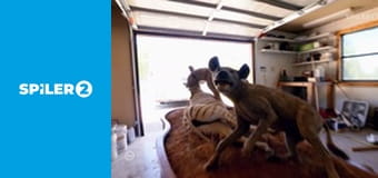 Fuvarozók háborúja S2E17 - Oly jó a szafari