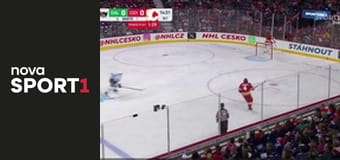 NHL: : Calgary Flames - - Dallas Stars