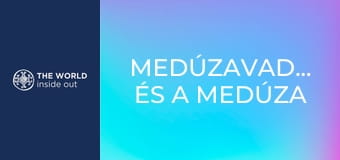 Medúzavadászat és a medúza elkészítési módjai. Kína.