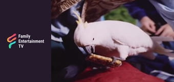 Valley of Adventure Part 1