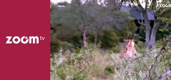 Dzika przyroda na żywo S1E5