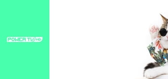 Zakręcone stworzonka