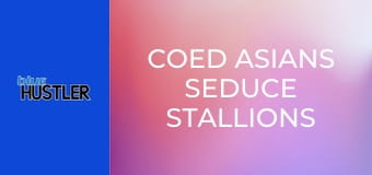 Coed Asians Seduce Stallions