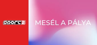 Mesél a pálya. Paolo Maldini