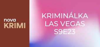 Kriminálka Las Vegas S9E23 - Sedmé nebe