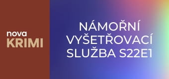 Námořní vyšetřovací služba S22E1 - Prázdné hnízdo