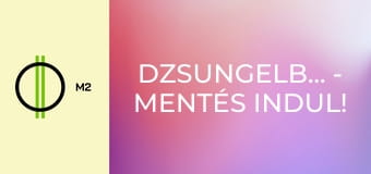 Dzsungelbanda - Mentés indul! - Találkozás a makikkal