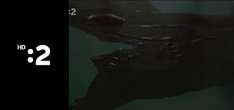 Klenoty pohraničia E5 - Kultúra pomalosti