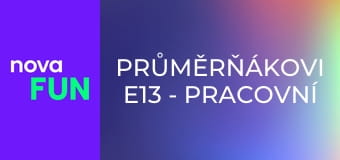 Průměrňákovi E13 - Pracovní pohovor