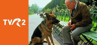 Comisarul Rex: aventuri la Viena E9