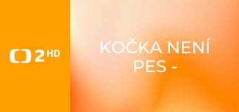 Kočka není pes - Hyperaktivní Waikiki a utlačovaný Oskar