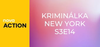 Kriminálka New York S3E14 - Lživá hra
