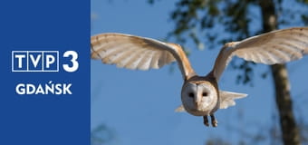 Prywatne życie zwierząt