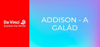 Addison - A galád szúnyogok rejtélye Addison - A galád szúnyogok rejtélye