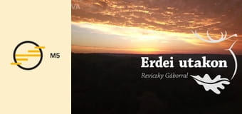 Erdei utakon