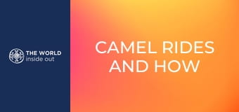 Tevegelés és a mongolok titka – hogyan élik túl a hideget? Kína.