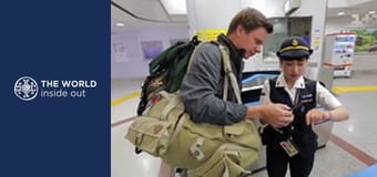 Japán: a halálos fugu gömbhal és a robotok városa.