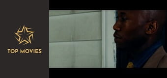 The Place Beyond The Pines