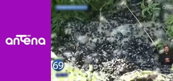 77 TV S3E7 - Przypadki tajemnicze i niewyjaśnione