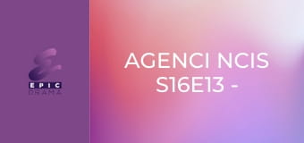 Agenci NCIS S16E13 - Ona