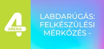 Labdarúgás: Felkészülési mérkőzés - Anglia – Japán