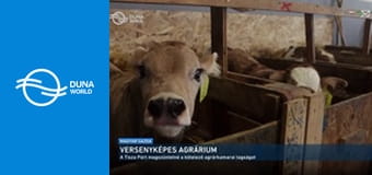 Örökölt tárgyaink - Utazóóra