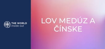 Lov medúz a čínske recepty na ich prípravu. Čína.