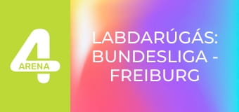 Labdarúgás: Bundesliga - Freiburg – Bayern München