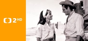 100 000 dolarů na slunci