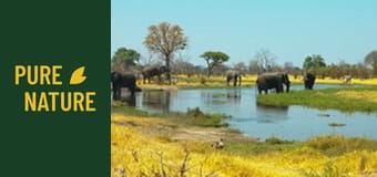 Африканска дива природа: Слонове, Част 1