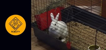 PRACOWAŁEM JAKO KURIER