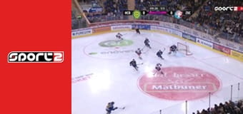 Lední hokej - Davos - ZSC Lions