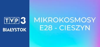 Mikrokosmosy E28 - Cieszyn