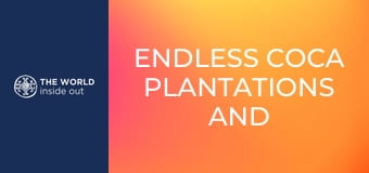 Végtelen kokacserje-ültetvények és nyárson sült tengerimalac. Bolívia.