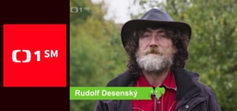 Kočka není pes - Nepochopený Nero a problematičtí Leo s Pauliem