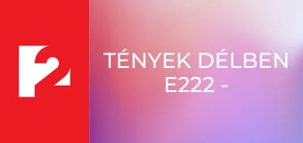 Tények délben E222 - Episode 222
