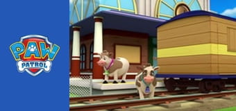 Psi Patrol Sezon 1 Odcinek 15