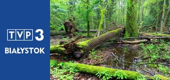 Czytanie Puszczy E20 Czytanie Puszczy E20