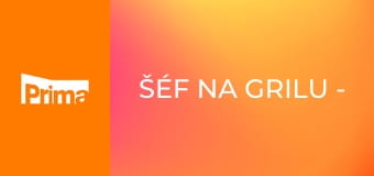 Šéf na grilu - motorkáři