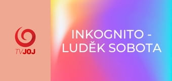 Inkognito - Luděk Sobota