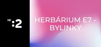 Herbárium E7 - Bylinky z Polomu