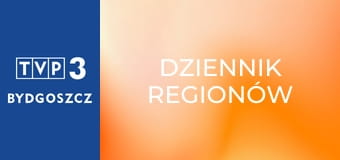 Dziennik regionów
