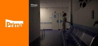 Policie v akci - Zlodějský seriál / Prohnaná nevěsta