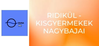 Ridikül - Kisgyermekek nagybajai