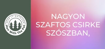 Nagyon szaftos csirke szószban, ropogós tortillában Nagyon szaftos csirke szószban, ropogós tortillában