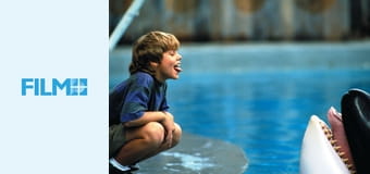 Szabadítsátok ki Willyt!