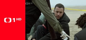 Candice Renoirová II