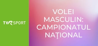 Volei masculin: Campionatul naţional